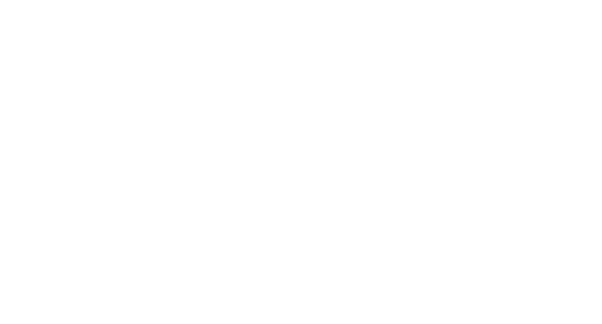Echo Link